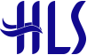 HLS STAR WIG